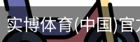 实博体育(中国)官方网站